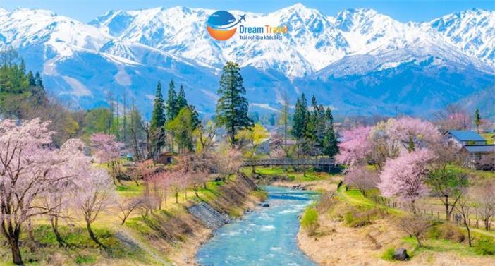 Tour Nhật Mùa Hoa Anh Đào Từ HCM: Cung Đường Romantic